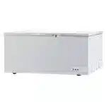 BD-650 A Chest Freezer