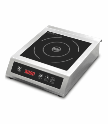 INDUCTION COOKER